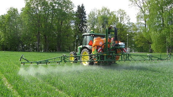 Rapid growth and dry conditions in spring cereals causing nutrient ...