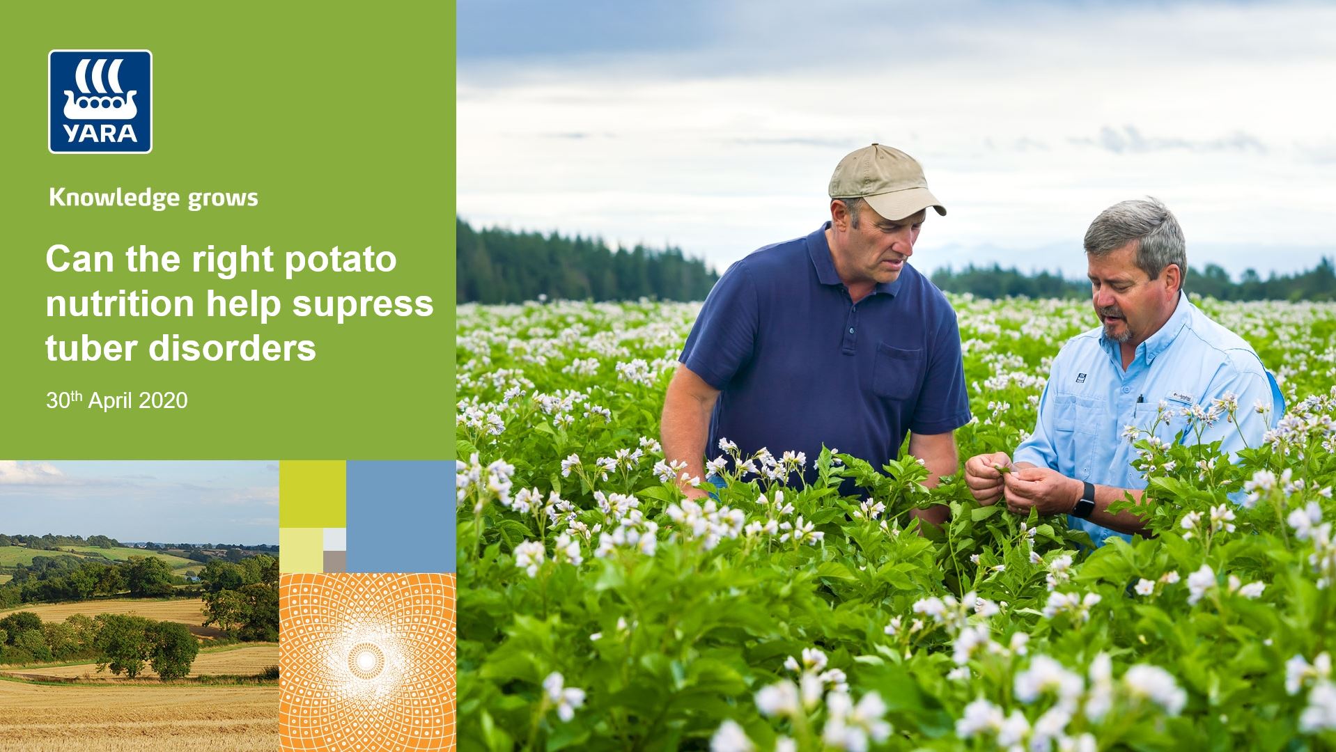 Potato webinar Can the right potato nutrition help