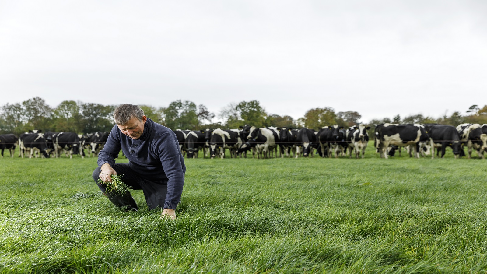 walking-the-grazing-block-agronomy-advice-yara-uk